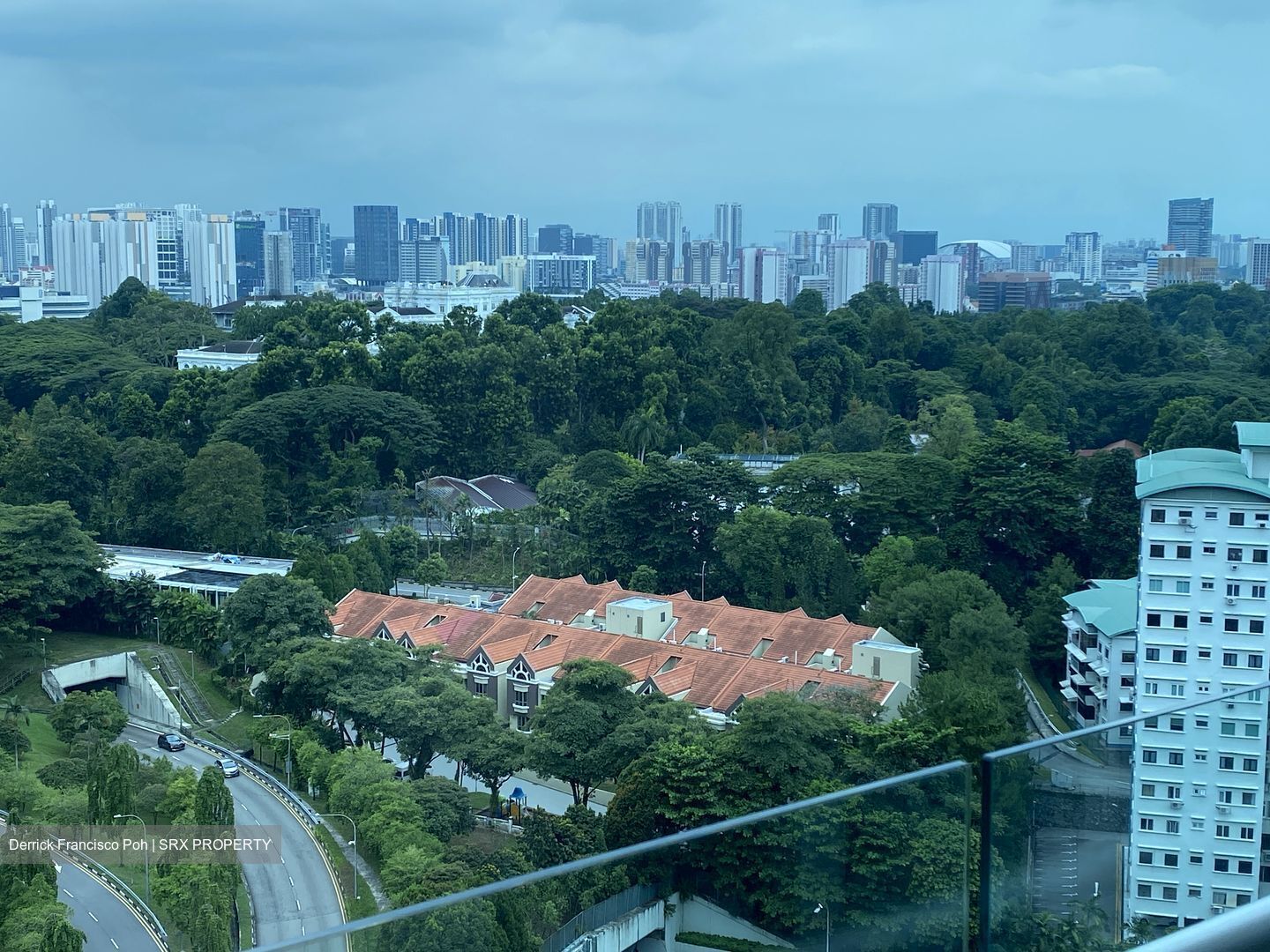 Cairnhill Crest (D9), Condominium #610239791